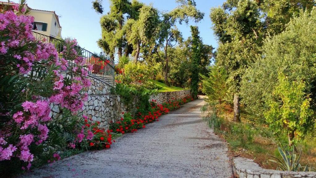 Villa Melenia Almiros Beach エクステリア 写真
