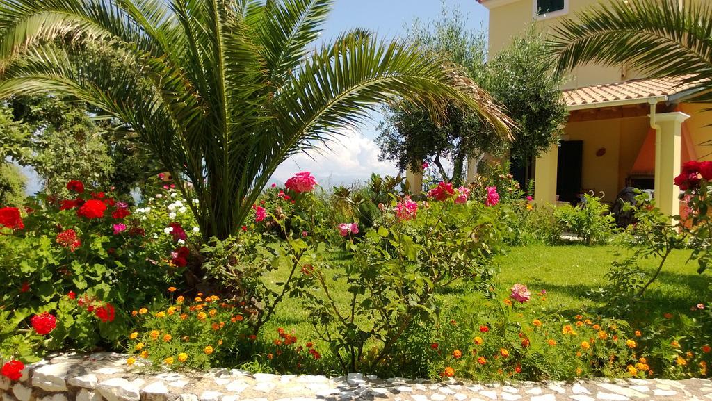 Villa Melenia Almiros Beach エクステリア 写真